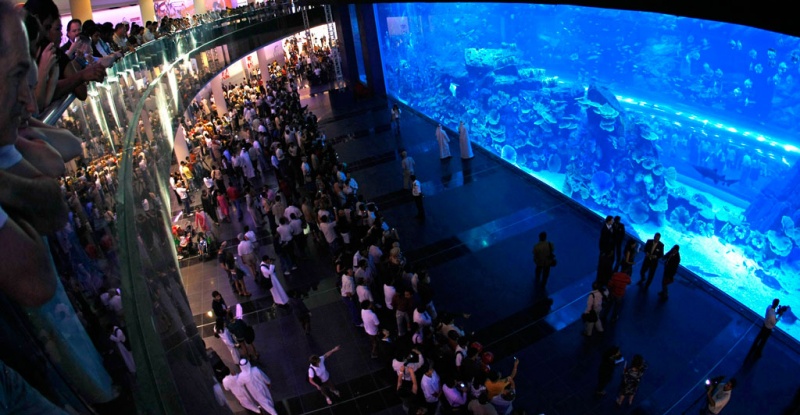 Аквариум в Дубае (Aquarium of the Dubai mall)